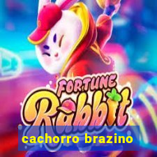 cachorro brazino